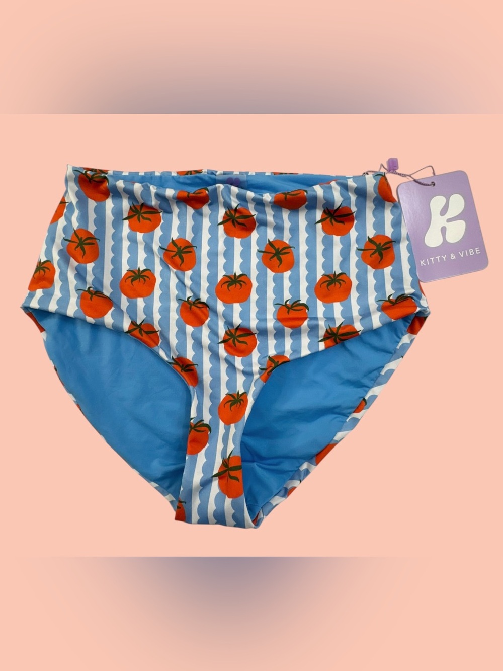 Kitty and Vibe Blue Tomato Striped Picnic Bikini Bottoms Size XS2 High Waisted